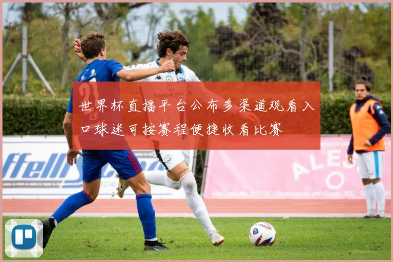 世界杯直播平台公布多渠道观看入口球迷可按赛程便捷收看比赛