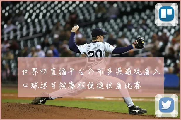 世界杯直播平台公布多渠道观看入口球迷可按赛程便捷收看比赛