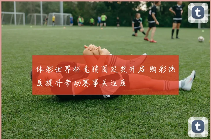 体彩世界杯竞猜固定奖开启 购彩热度提升带动赛事关注度