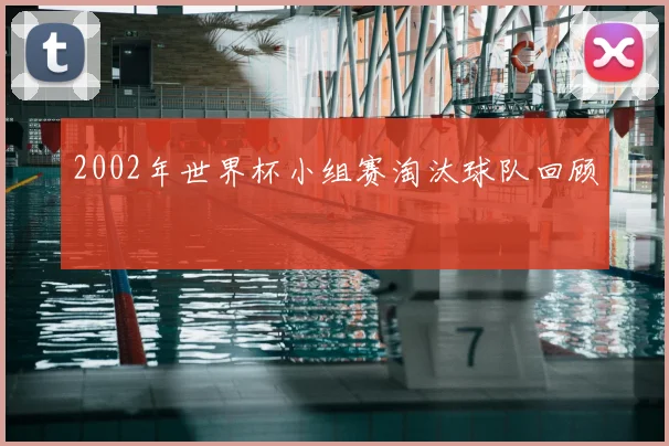 2002年世界杯小组赛淘汰球队回顾
