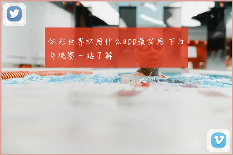 体彩世界杯用什么app最实用 下注与观赛一站了解