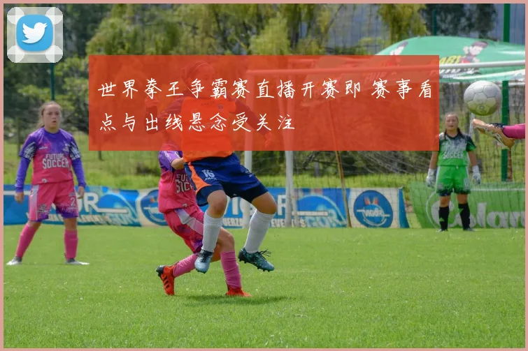 世界拳王争霸赛直播开赛即 赛事看点与出线悬念受关注