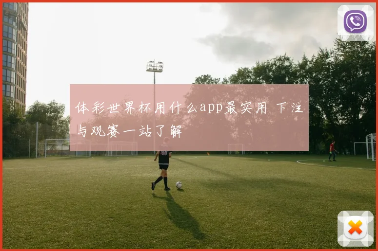 体彩世界杯用什么app最实用 下注与观赛一站了解