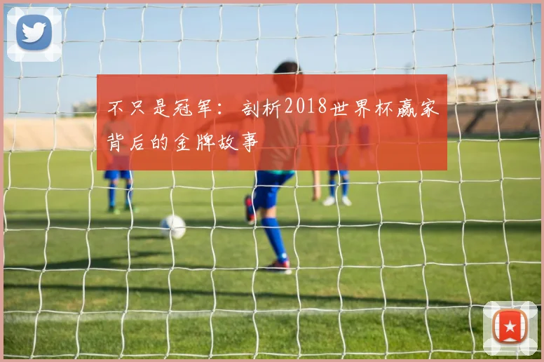 不只是冠军：剖析2018世界杯赢家背后的金牌故事