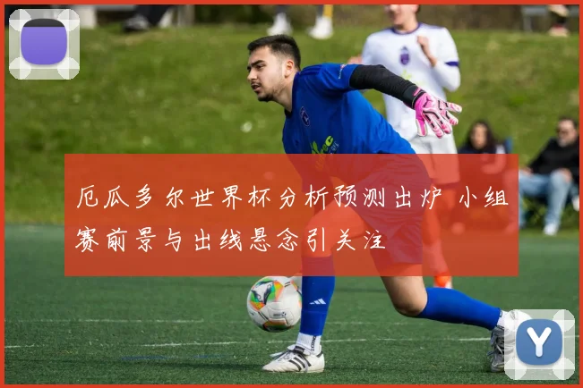 厄瓜多尔世界杯分析预测出炉 小组赛前景与出线悬念引关注