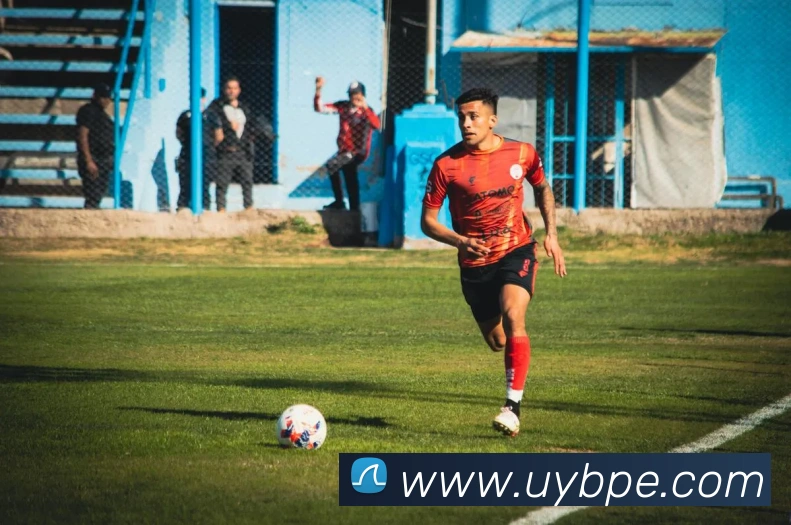 bat365在线登录入口平台生态图