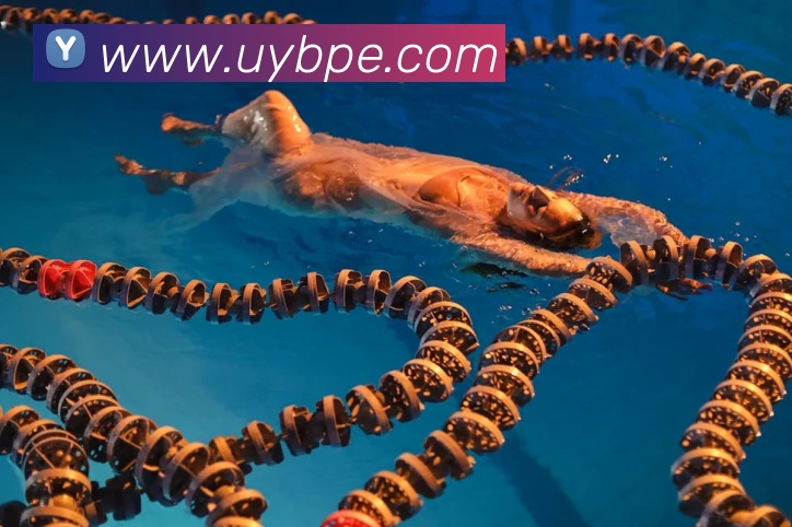 bat365在线登录入口APP 封面图